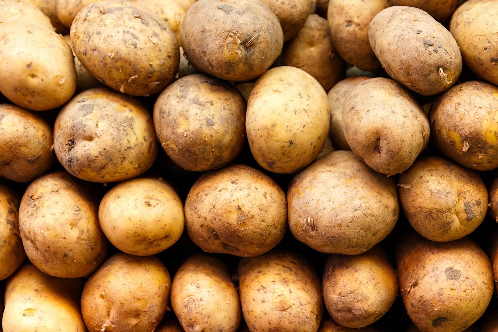 Peruna